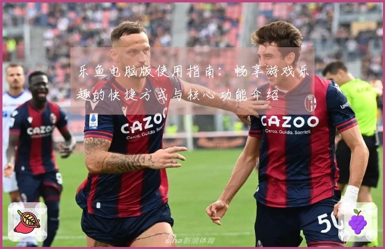 乐鱼电脑版使用指南：畅享游戏乐趣的快捷方式与核心功能介绍