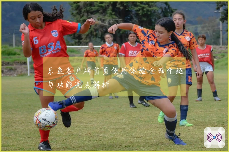 乐鱼客户端首页使用体验全面介绍与功能亮点解析