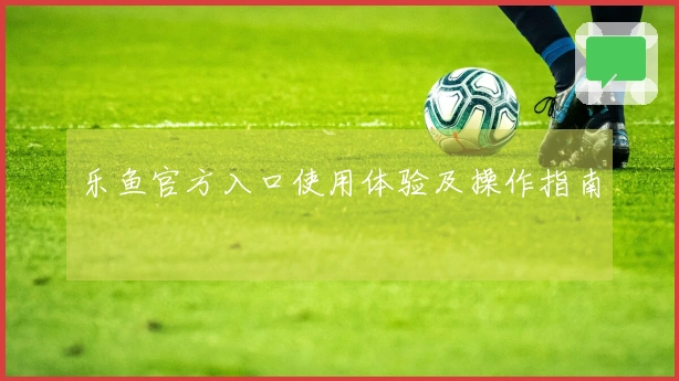 乐鱼官方入口使用体验及操作指南