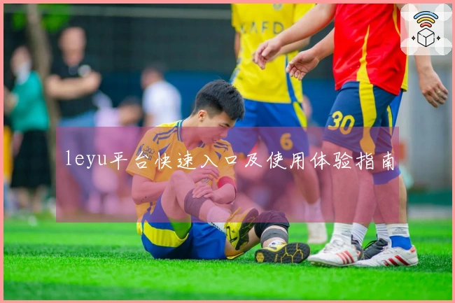 leyu平台快速入口及使用体验指南