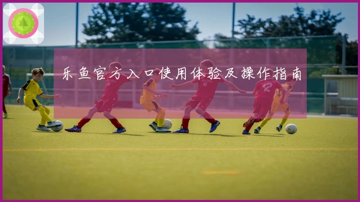乐鱼官方入口使用体验及操作指南